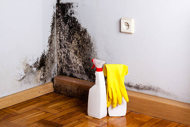 Bethlehem Village, CT Mold Remediation Company